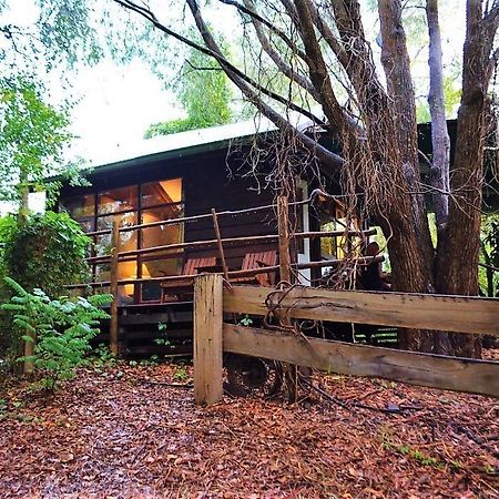Black Cockatoo Lodge Nannup Kültér fotó