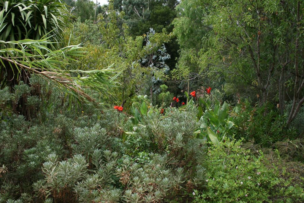 Black Cockatoo Lodge Nannup Kültér fotó