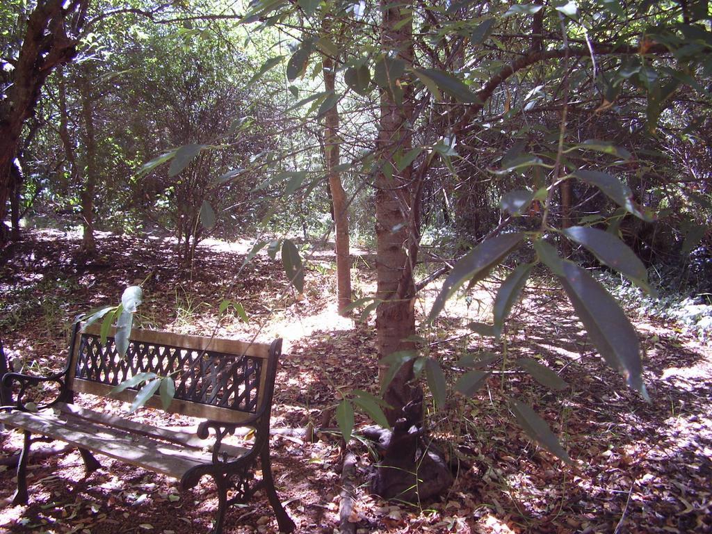 Black Cockatoo Lodge Nannup Kültér fotó