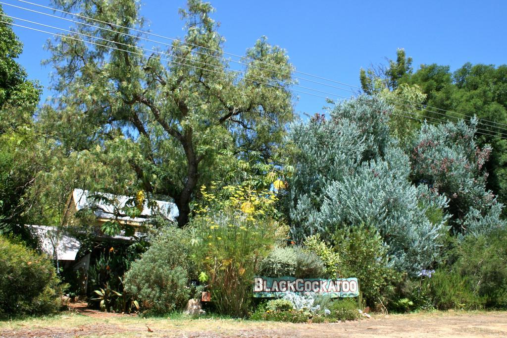 Black Cockatoo Lodge Nannup Kültér fotó